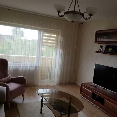 Apartamentai Gertruda دروسكينينكاي المظهر الخارجي الصورة