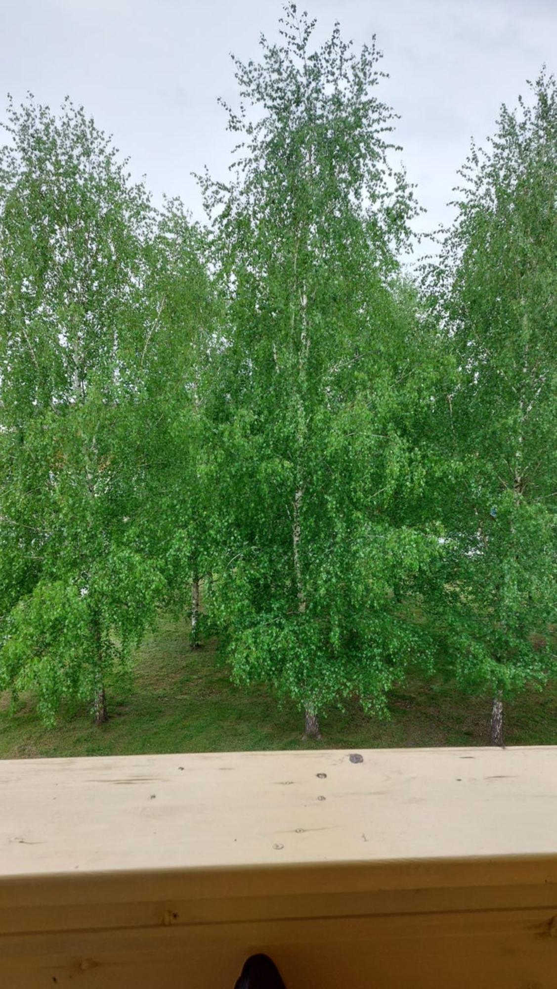 Apartamentai Gertruda دروسكينينكاي المظهر الخارجي الصورة